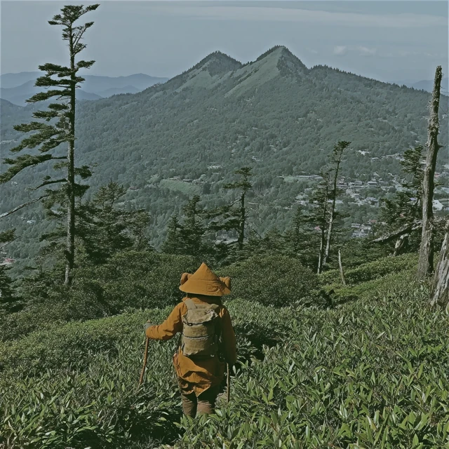 Hiking in the Mountains Scenic Forest Trail