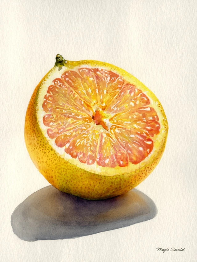 Watercolor Painting of a Grapefruit Fruit Art