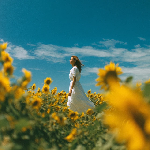 Woman in Sunflower Field Sunshine and Blue Sky