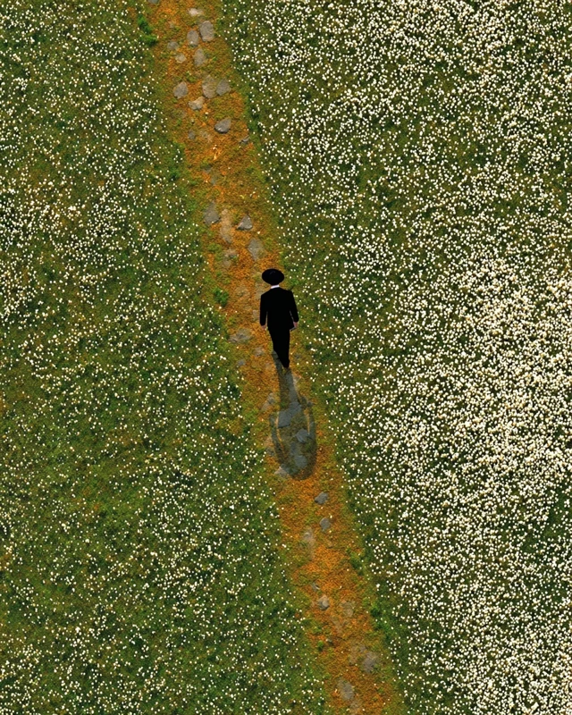 Man Walking Path Surreal Scene Solitude