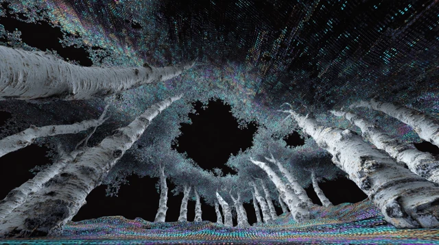Birch Forest Black Hole 3D Render