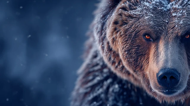 Majestic Grizzly Bear A Stunning Wildlife Portrait