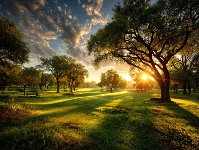 Beautiful Park at Sunset Green Grass and Trees