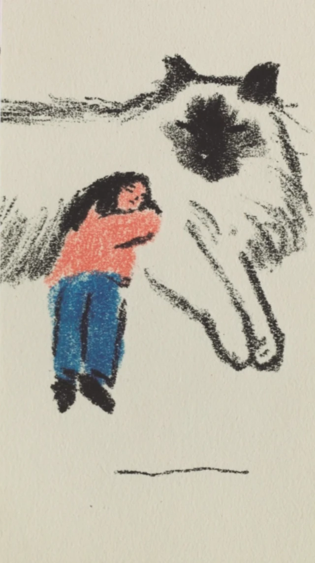 Cute illustration of a person and a giant Ragdoll cat