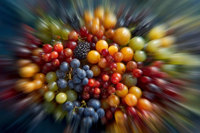 Abstract Wild Fruits Composition