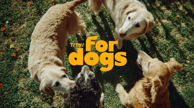 Dog Running in Grass TV for Dogs