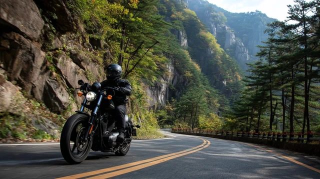 Motorcycle Rider on Mountain Road Korea