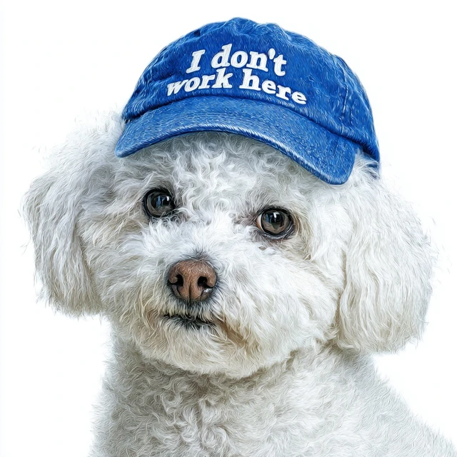 Funny Bichon Frise Dog Wearing I Dont Work Here Cap