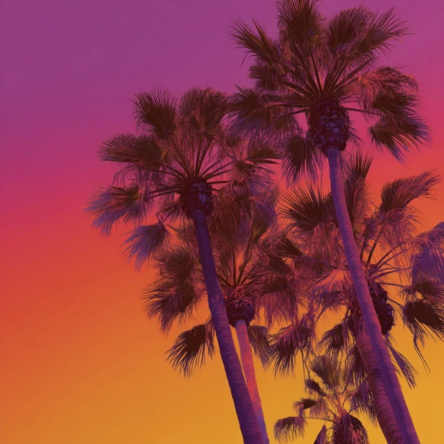 Palm Trees at Sunset Summer Vibes
