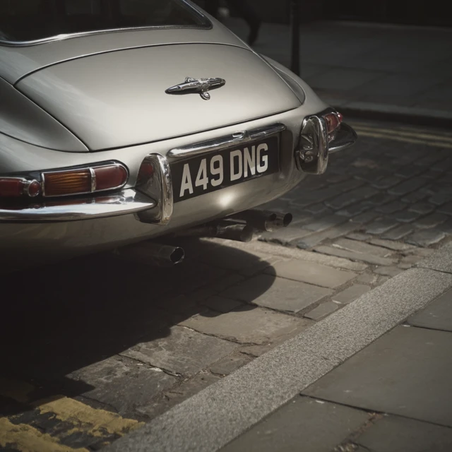 Vintage Silver Jaguar E-Type Car Rear View