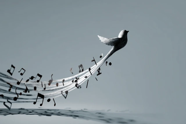 Musical Bird Transformation Art Illustration