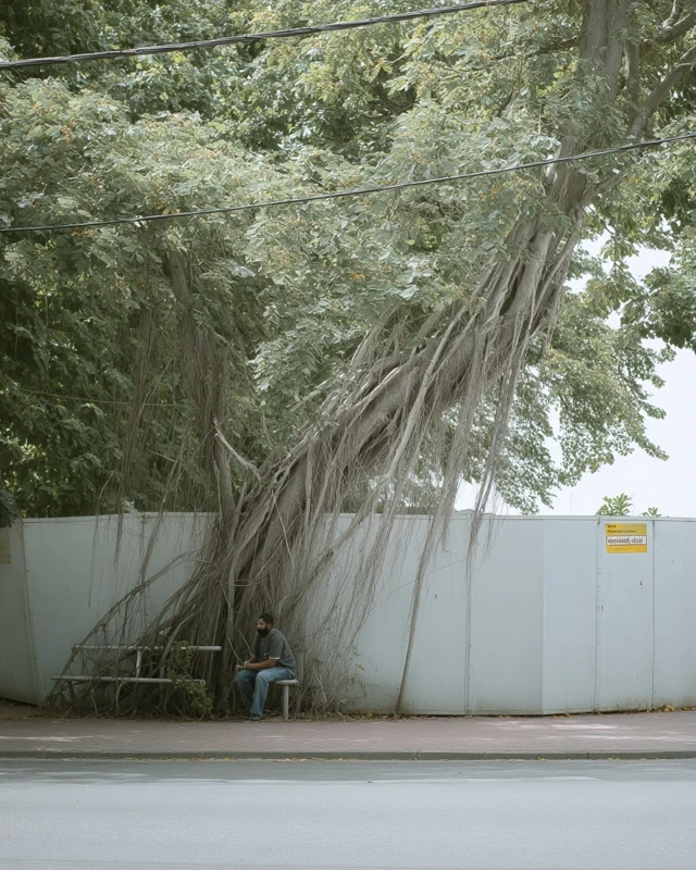 Street Photography Tree and House