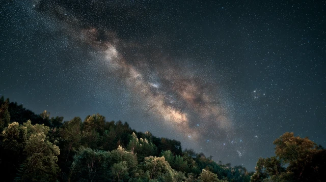 Milky Way Over Forest Night View