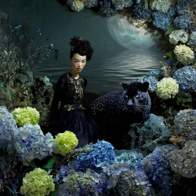Asian Girl Black Leopard Hydrangea Surreal Art