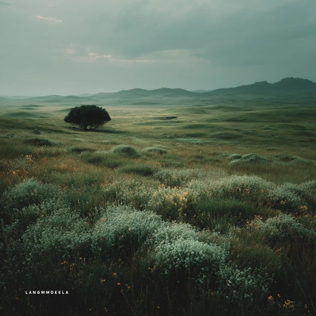 Langmoheia Album Cover Minimalistic Nature