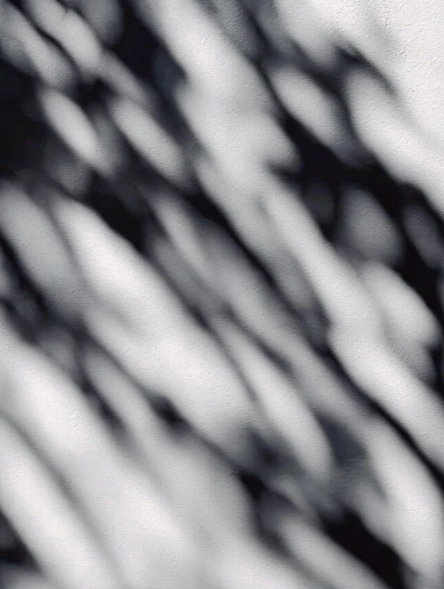 Shadows and Light Natural Pattern