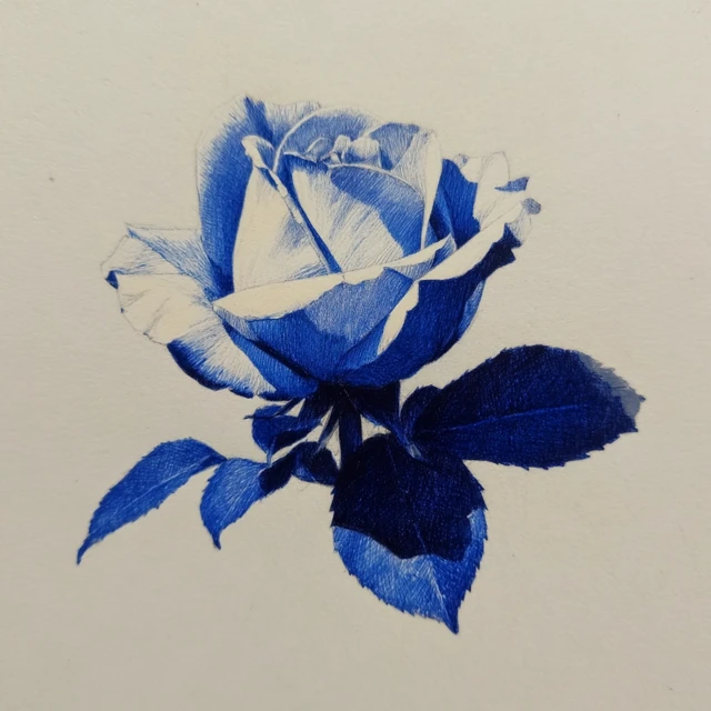 Pencil Art Rose Illustration in Dual Tone