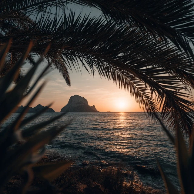 Ibiza Sunset View Through Palm Leafs Cinematic