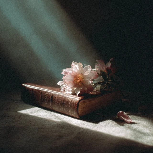 Bible with Flower Photorealistic Photography