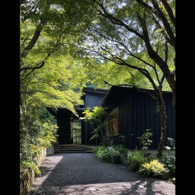 Modern Black House in the Woods Beautiful Light and Shadow