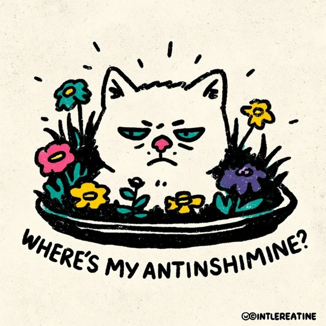Allergic Cat Funny Graphic Design