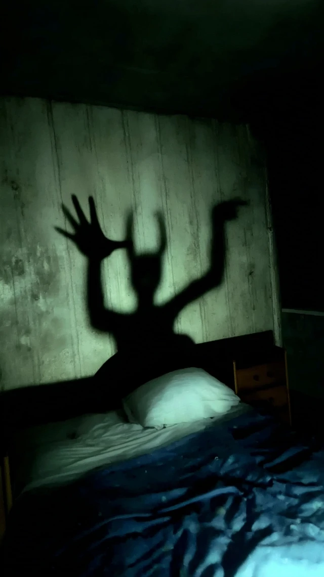 Devils Shadow in Bedroom Scary Image