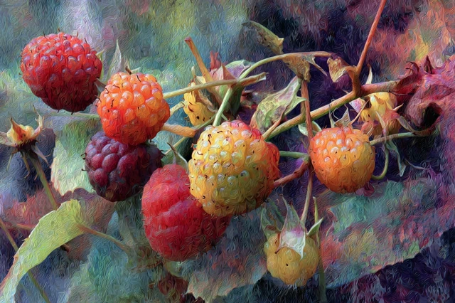 Abstract Wild Fruits Composition