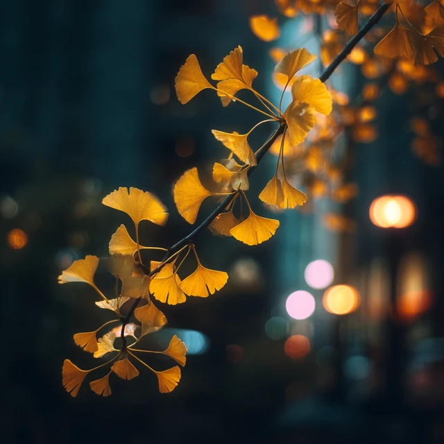 Golden Ginkgo Leaves Night Light Bokeh