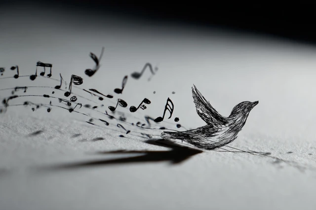 Musical Bird Transformation Art Illustration