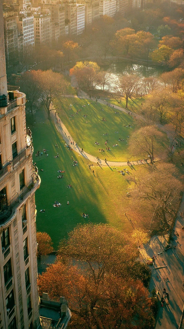 Central Park NYC 1994 Autumn Afternoon Aerial View