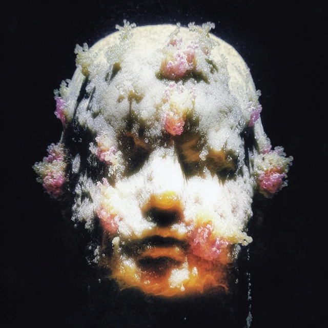 Decaying Candle Beauty and Rot Indistinguishable