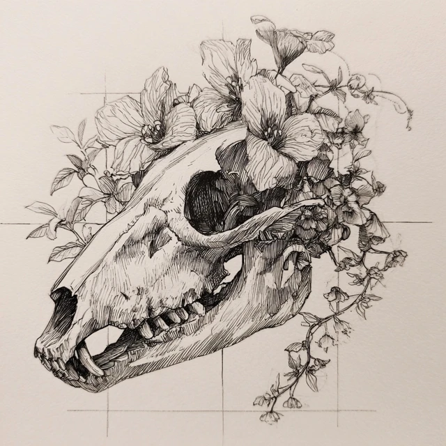 Wolf Skull with Flowers Detailed Sketch