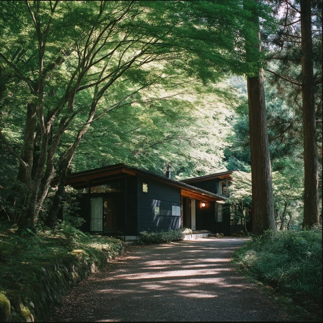 Modern Black House in the Woods Beautiful Light and Shadow