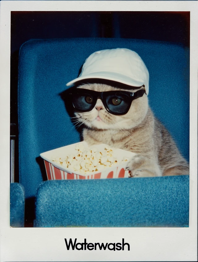 Retro Cat at the Movies: 80s Polaroid