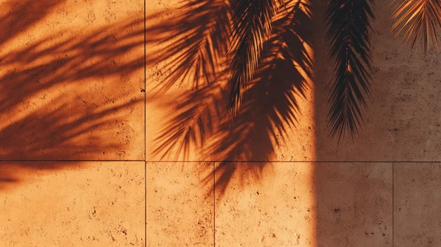 Golden Hour Palm Shadows on Stone Wall