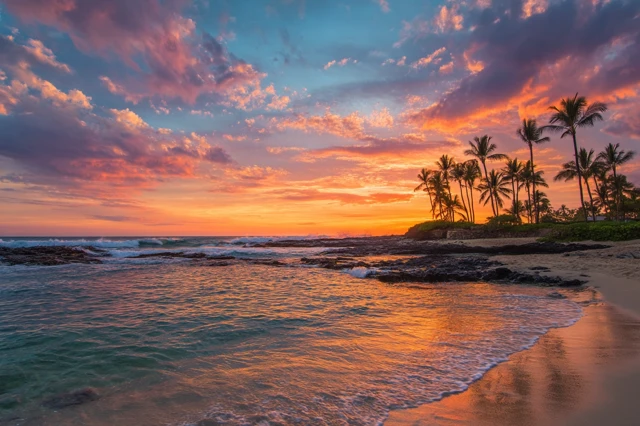 Hawaiian Sunset Beach Paradise with Palm Trees