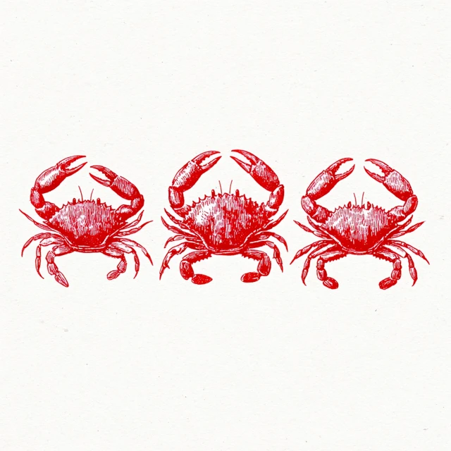 Red Crabs Minimalist Hand Drawn Illustration