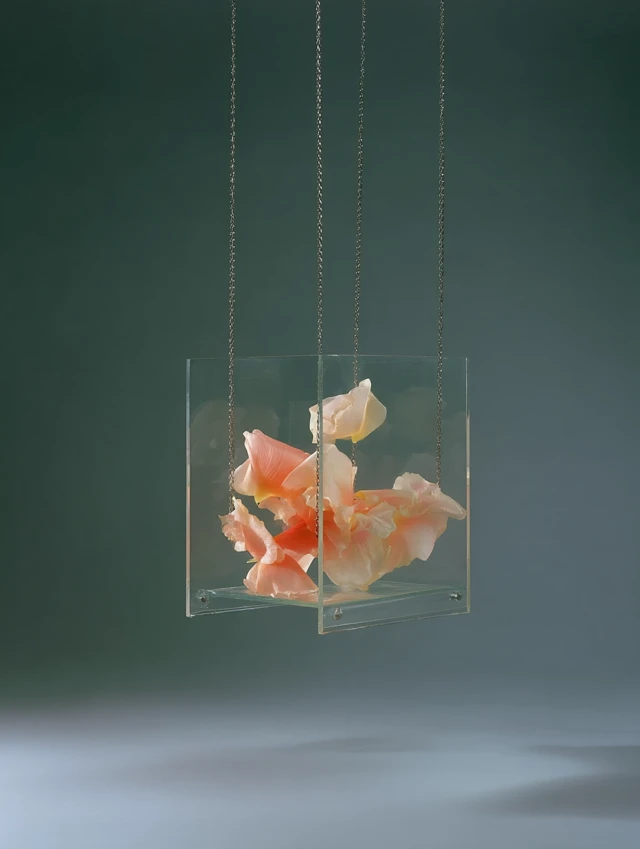 Transparent Stool with Flower Petals Surreal Design