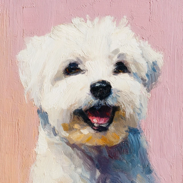 Happy Maltese Dog Oil Painting Portrait