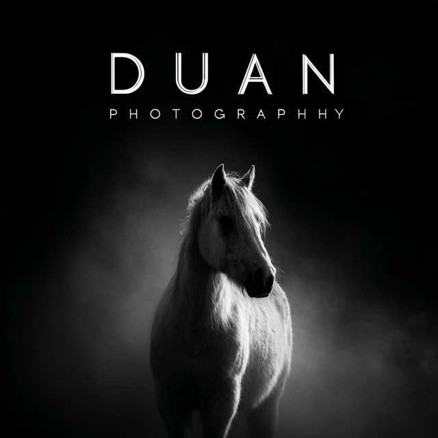 Duan Photography Black and White Horse