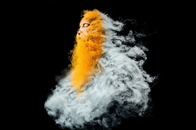 Smokey Ancestral Spirit Art Poster