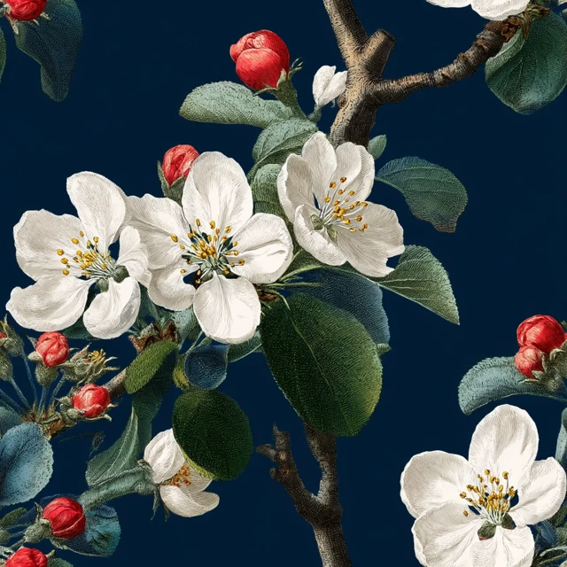 Botanical Blossom Illustration Dark Blue Background