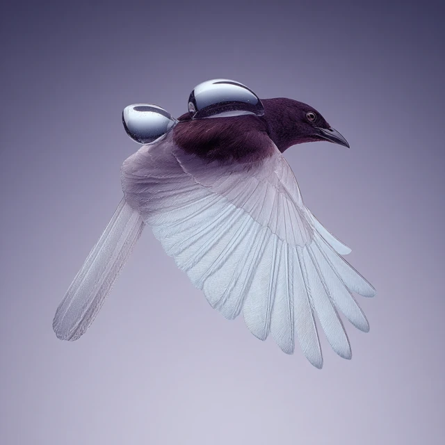 Crystal Bird Conceptual Editorial Photography