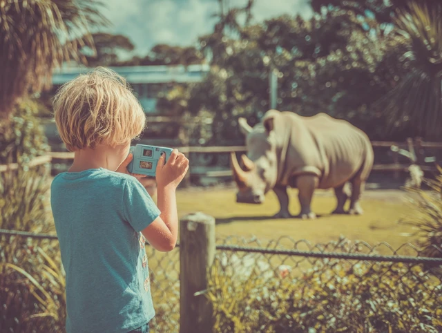 Boy Photographs Rhino at the Zoo