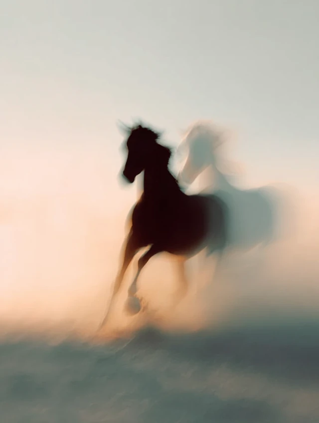 Galloping Horse: Black and White Photo on the Steppe