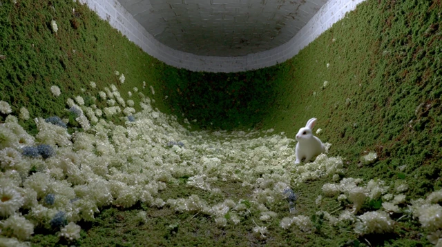 Grass Tunnel Garden with Rabbit Hyperrealistic View