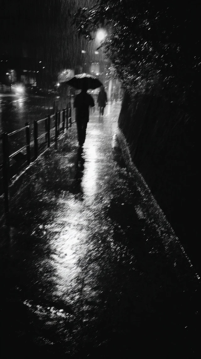 Rainy Night Photograph People in the City