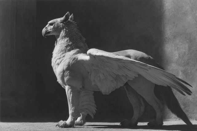 Griffon Portrait in Black and White