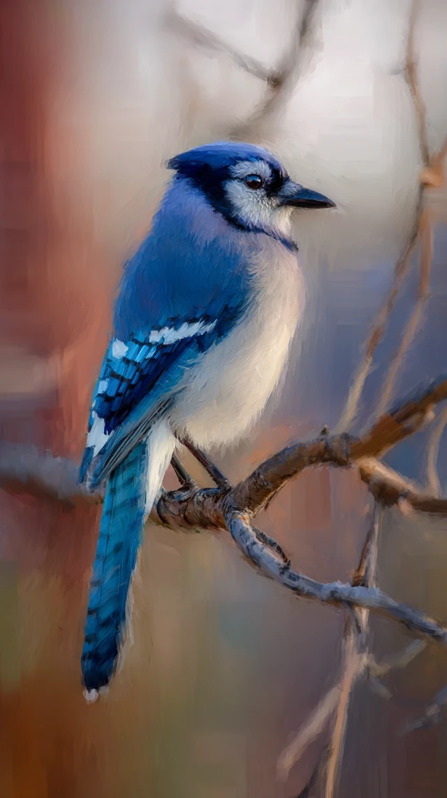 Impasto Painting of a Blue Jay on a Branch