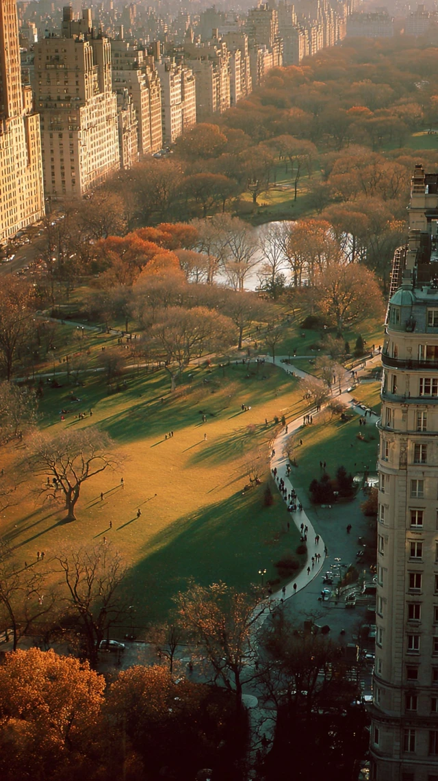 Central Park NYC 1994 Autumn Afternoon Aerial View